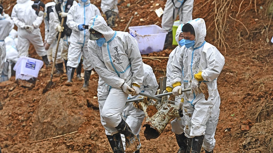 It could take 10 to 15 days to arrive at a preliminary analysis, and longer before a final conclusion can be presented in a report. Credit: AP Photo