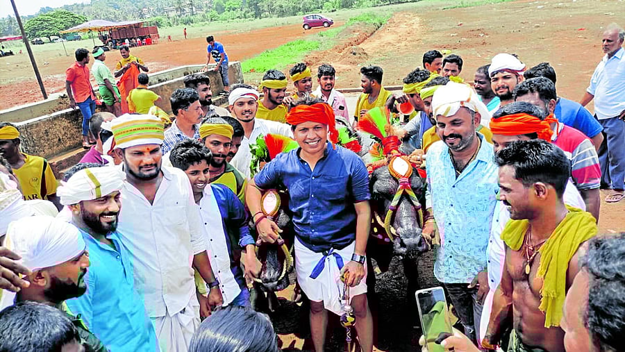 MLA Dr Y Bharath Shetty with a pair of buffaloes owned by him during Mangaluru Kambala.