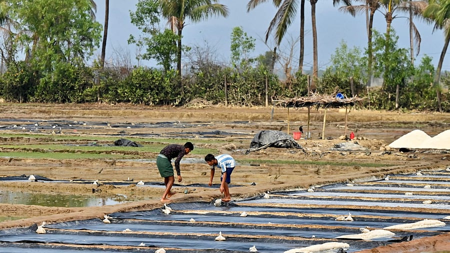 Bangladesh's demographic dividend, which will last at least until 2050, indicates that it can produce low-skilled and semi-skilled labour in a globalised world. Credit: AFP Photo