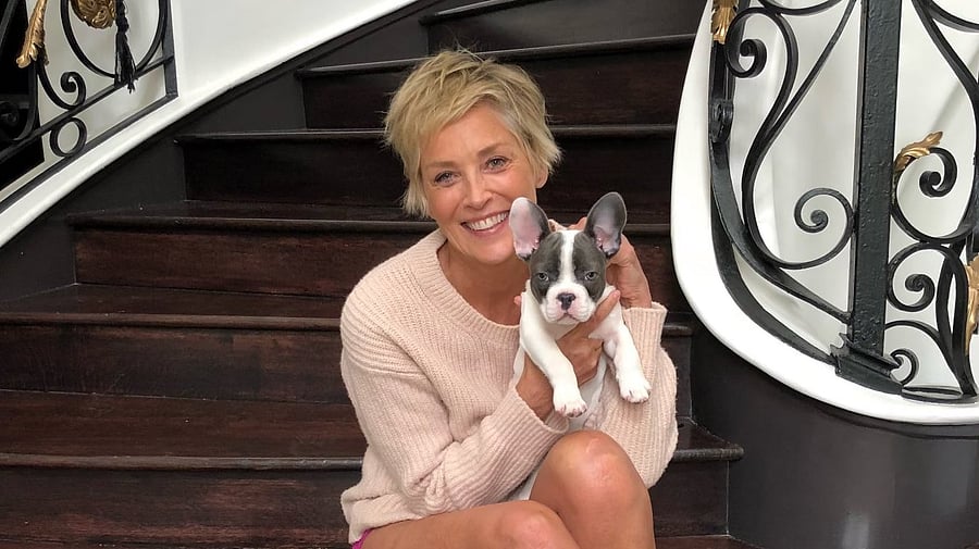 Stone will play the antagonist Victoria Kord, a character especially created for the upcoming film. Credit: Twitter@sharonstone