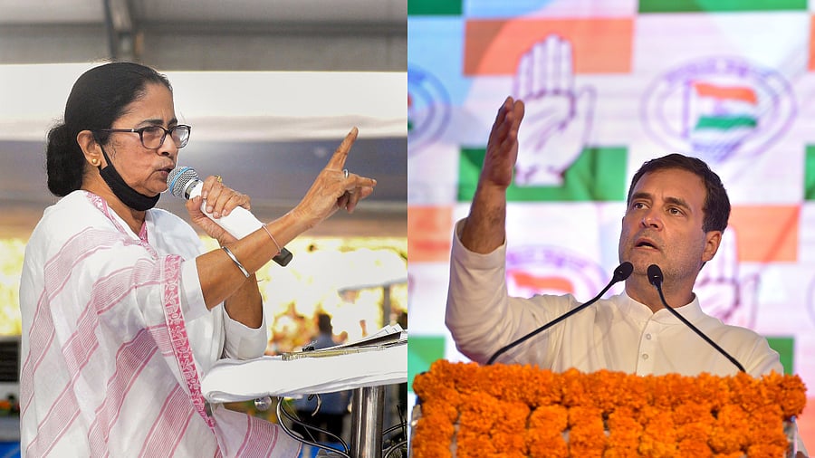 Mamata Banerjee and Rahul Gandhi. Credit: PTI Photos