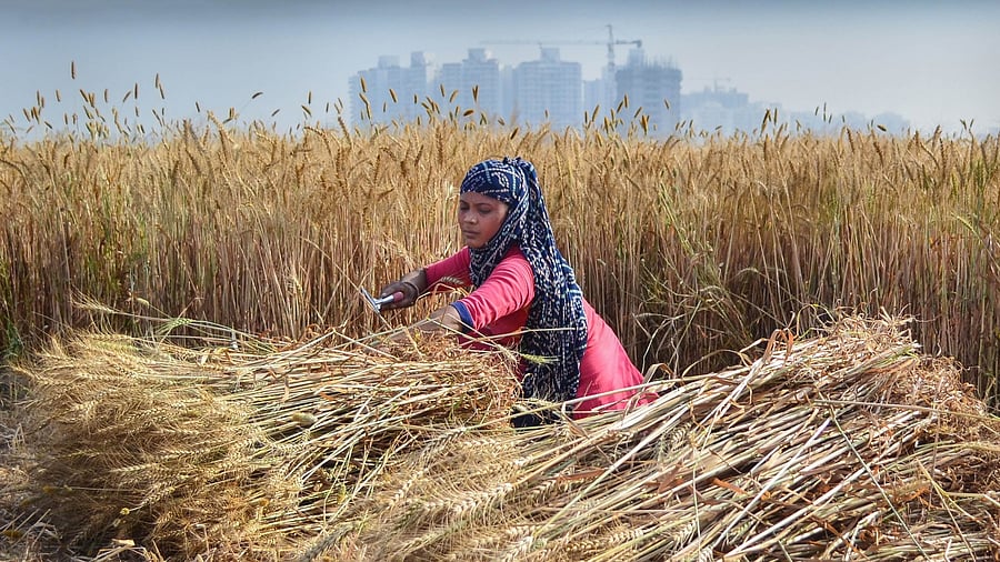 Representative Image. Credit: PTI File Photo