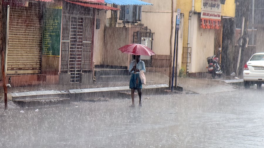 Gusty winds damaged the ready-to-harvest Kashmiri apple crop at Kolhar in the Vijayapura district. Credit: DH File Photo