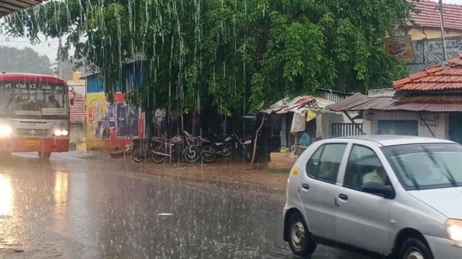 Representative Image. Credit: DH File Photo