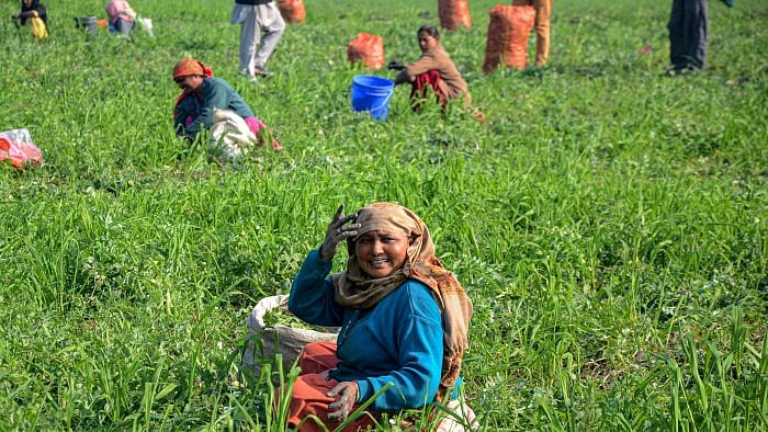 Representative image. Credit: PTI File Photo