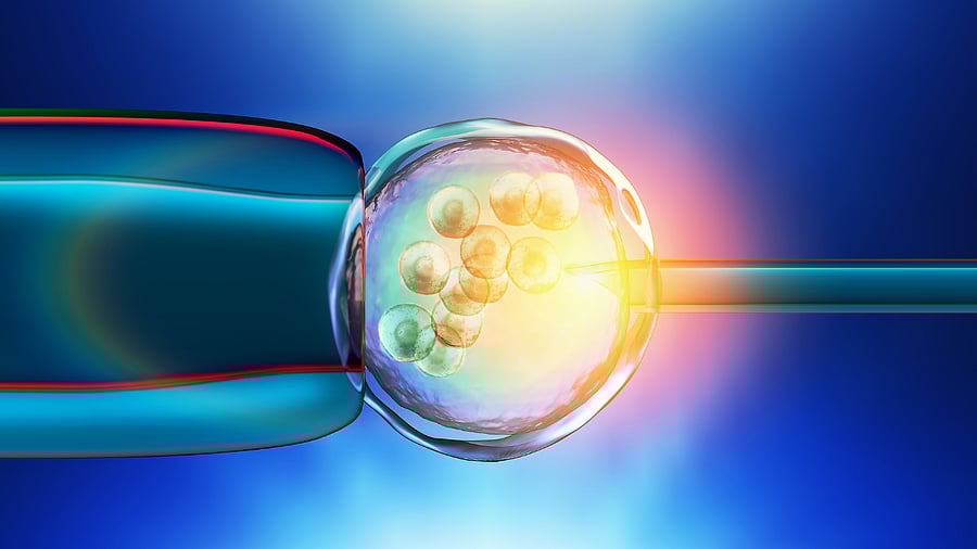 Representative image. Credit: iStock Images