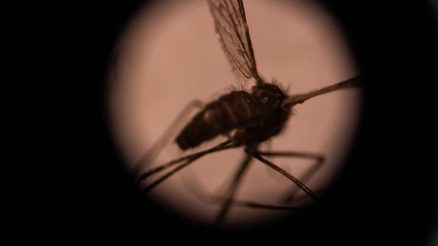 Representative Image. Credit: AFP File Photo