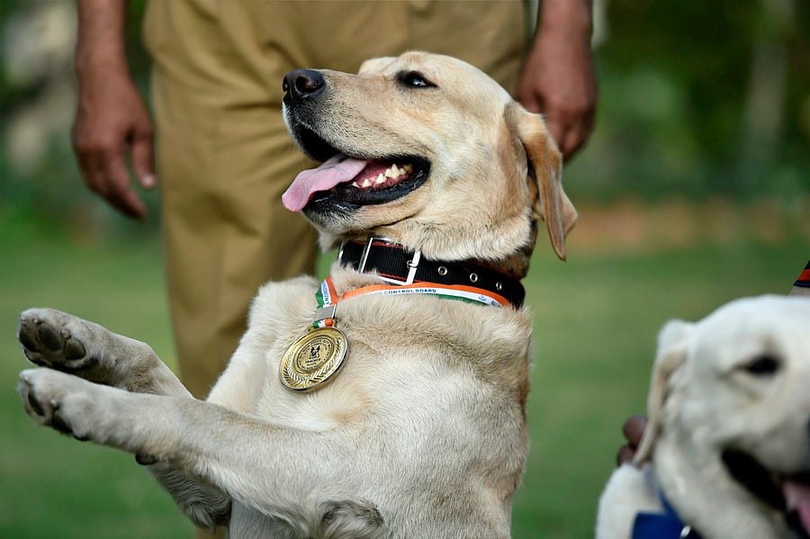Representative image. Credit: PTI Photo