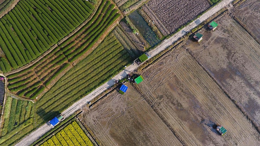 The expansion of farmland has come at the expense of millions of hectares of forest, grassland and wetlands, and the increasing exposure to wind and rain has led to erosion. Credit: AFP File Photo