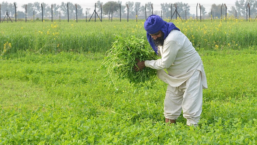 Representative Image. Credit: AFP Photo