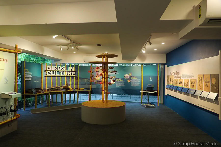 The Indian Music Experience museum, J P Nagar, is part of the IMACC network. It is currently hosting an exhibition on birds, their songs, and the need to coexist with them.