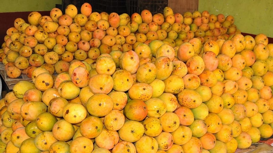 Representative Image. Credit: DH Photo