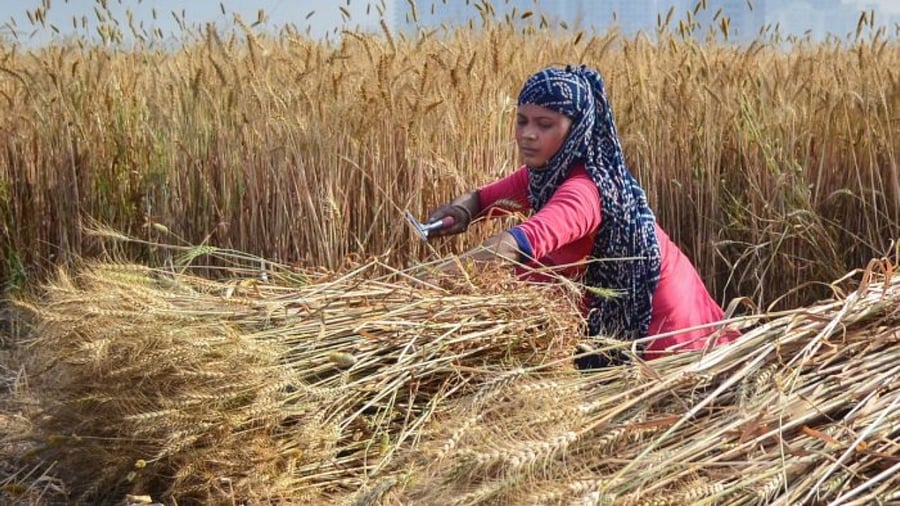 Representative Image. Credit: PTI Photo