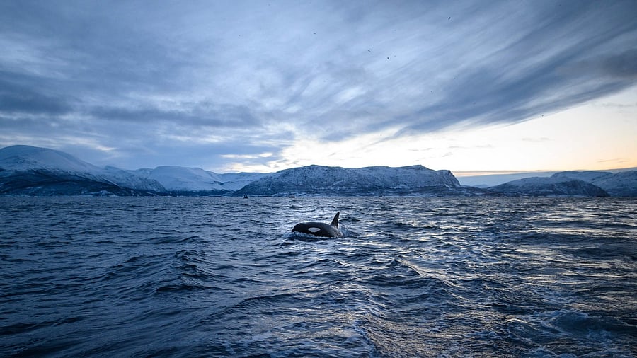 The annual mean global near-surface temperature for each year between 2022 and 2026 is predicted to be between 1.1C and 1.7C higher than pre-industrial levels. Credit: AFP Photo