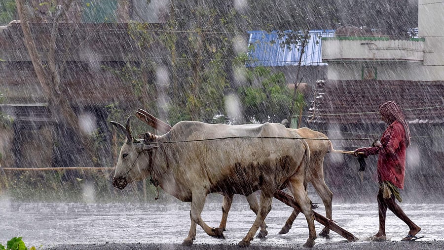 Light to moderate rainfall at a few places with heavy to very heavy rainfall at isolated places is likely over coastal Andhra Pradesh through the day and heavy rainfall at isolated places is likely over coastal Odisha from evening on Tuesday. Credit: PTI Photo/ Representative
