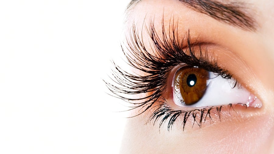 Representative Image. Credit: iStock Photo