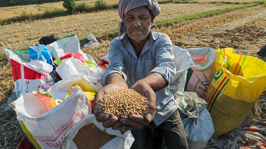 Credit: PTI File Photo