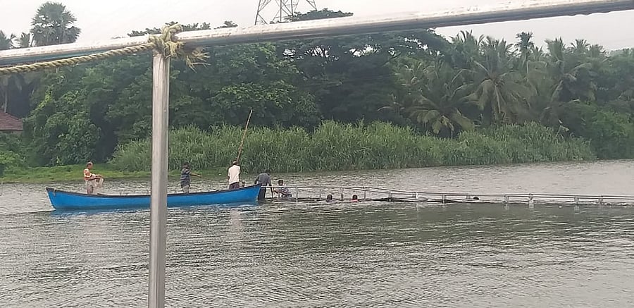 Residents of Pavoor Uliya dismantle the temporary bridge after it was damaged after heavy rains. Credit: Special Arrangement 