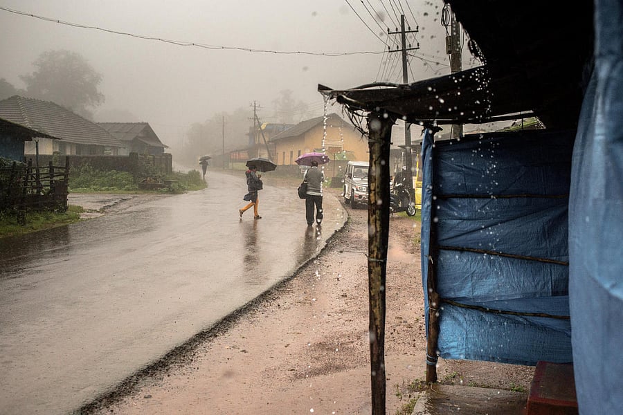 Rain in Agumbe. Credit: DH File Photo