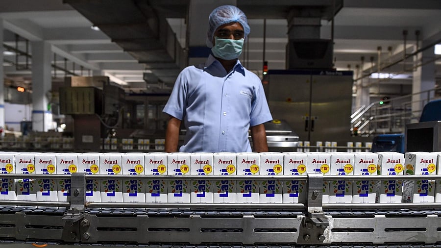 Amul will be launching products like moong daal, tur daal, chana daal and basmati rice in its organic portfolio. Credit: AFP File Photo