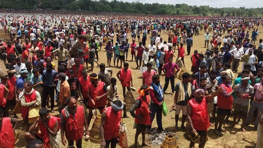 A large number of people participate in Kere Bete  (fish hunting in pond) at Doddakere at Kanagodu village in Uttara Kannada district on Sunday. Credit: DH Photo