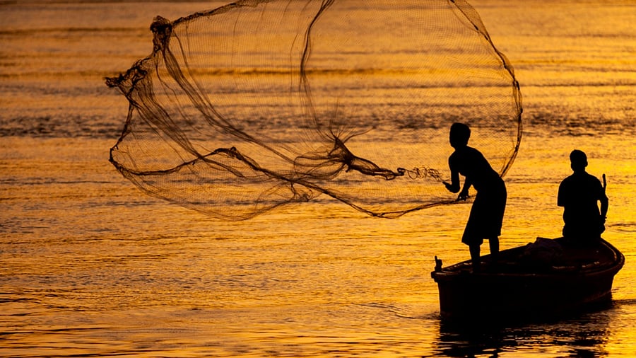 Representative image. Credit: iStock Photo