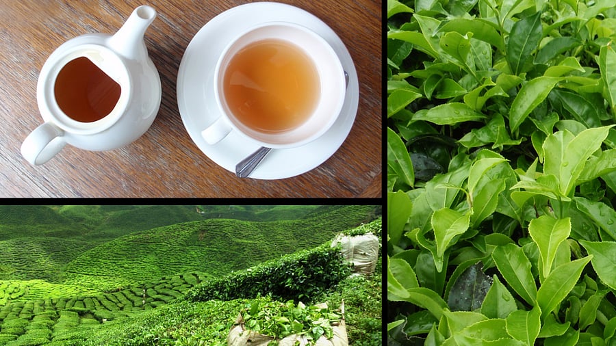 Representative image. Credit: Getty Images