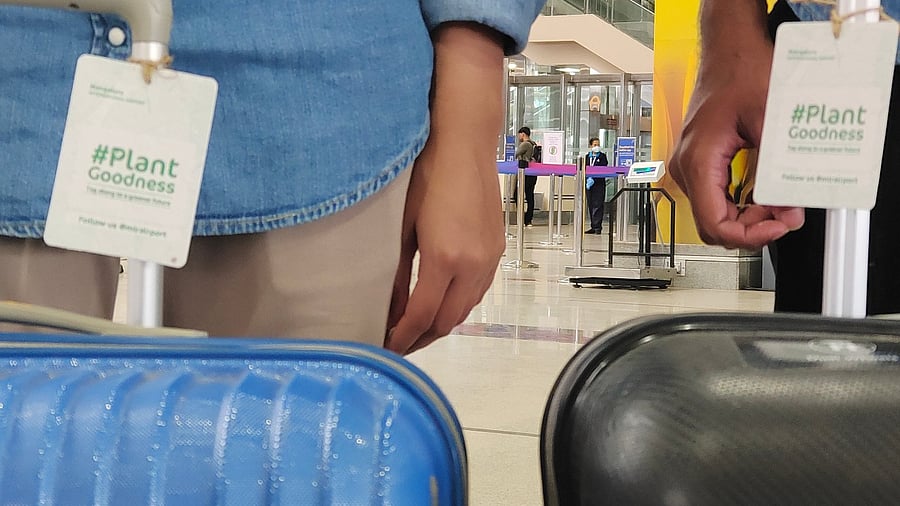 Dwarf Lilyturf or Mondo Grass given to arriving passengers at Mangaluru International Airport on World Environment Day. Credit: Special arrangement