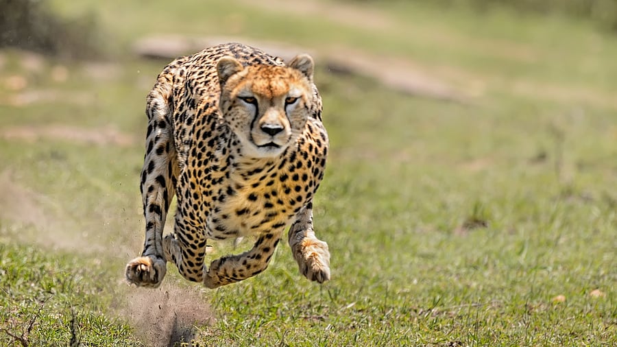 Representative image. Credit: Getty Images