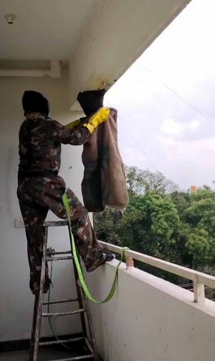Venkatesh V, a resident of K R Puram, has been relocating bees for a decade now.