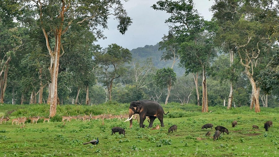 Representative Image. Credit: AFP Photo