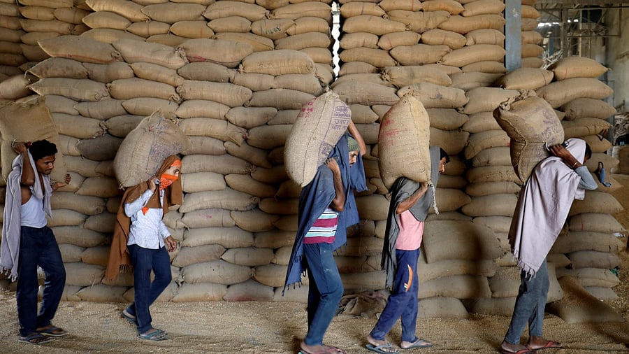 The current wheat harvest of 105 million tonnes, down from the projected 111.32 million tonnes, is 94.32 per cent of the target, a shortfall of 5.7 per cent. Credit: Reuters Photo
