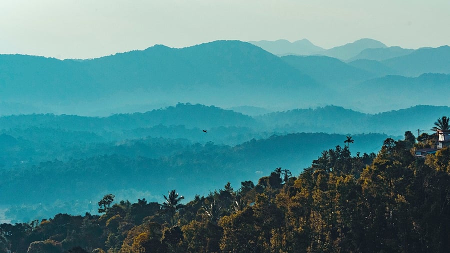 Coorg. Credit: Deepak P on Unsplash