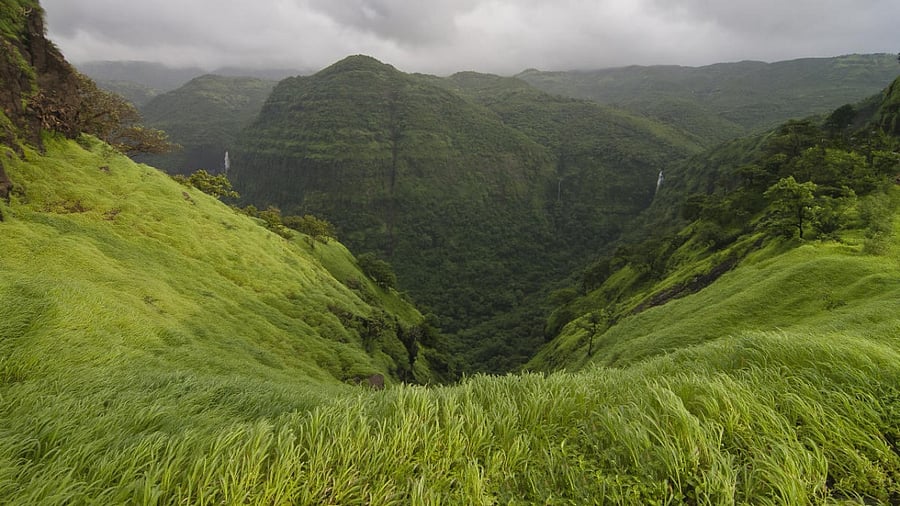 Western Ghats. Credit: PTI Photo