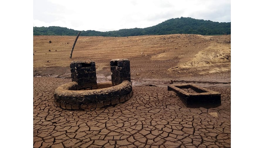 The dam recorded huge inflows in 2019, thanks to bountiful rains and water was released through the crest gates as a precautionary measure. Credit: DH Photo