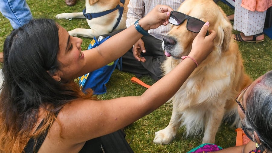 People cuddle up to their pets during PetGala at Jayamahal Palace. Credit: DH Photo