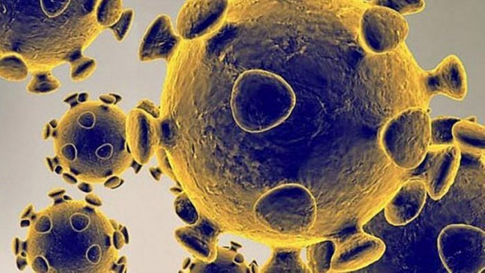 Representative image. Credit: AFP Photo