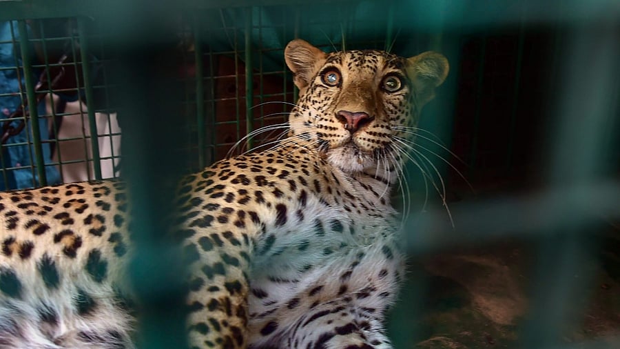 Representative Image. Credit: PTI File Photo