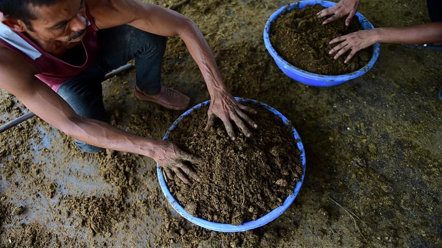 Representative image. Credit: AFP Photo