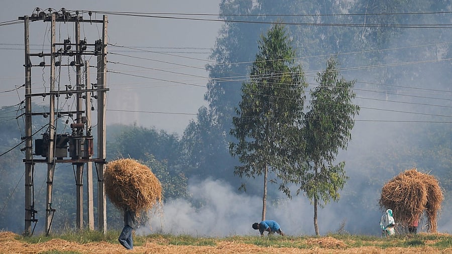 Representative Image. Credit: AFP Photo