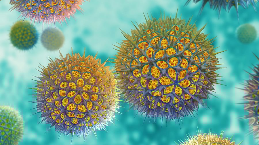 Representative Image. Credit: iStock Photo