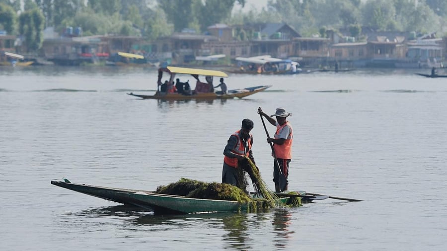 Representative image. Credit: AFP Photo