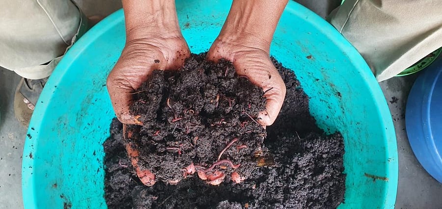 There are three ways to compost in an urban setting
