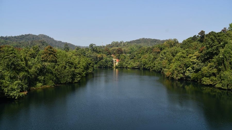 The proposed railway line, if given go-ahead, will cut through the Anshi-Dandeli tiger reserve and intervening area between Kali and Bhadra Tiger Reserve in the Western Ghats. Credit: DH file photo