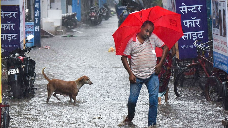 Representative Image. Credit: PTI Photo