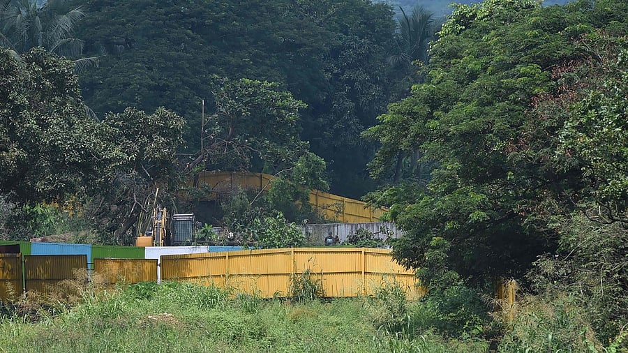 An excavator is pictured next to cut down trees at the construction site of a metro train car shed in the Aarey colony. Credit: AFP Photo