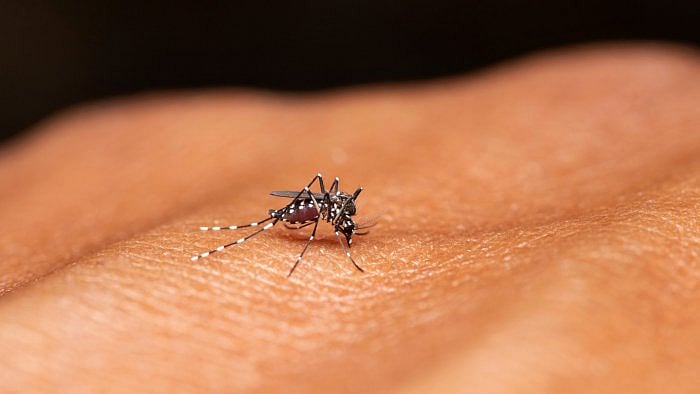 Representative image. Credit: iStock Photo