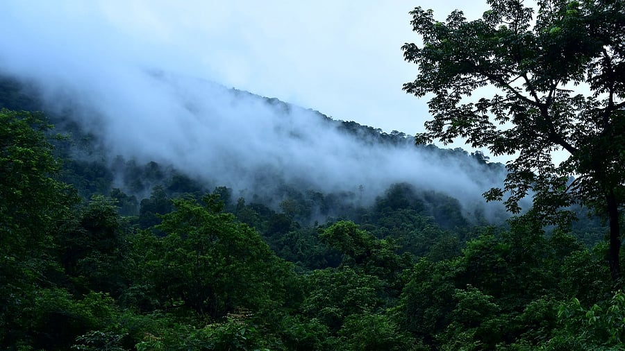 Representative Image. Credit: DH Photo