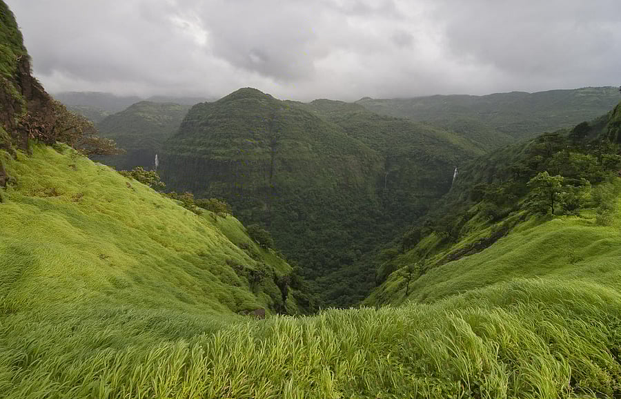 Western Ghats. Credit: PTI Photo