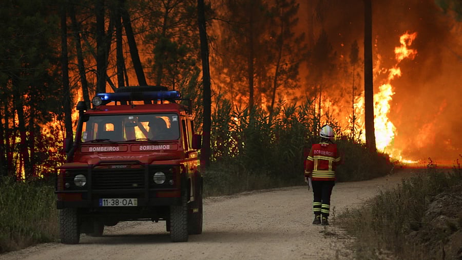 A firefighter walks near a wildfire in Ourem, Santarem district, Portugal. Credit: Reuters Photo